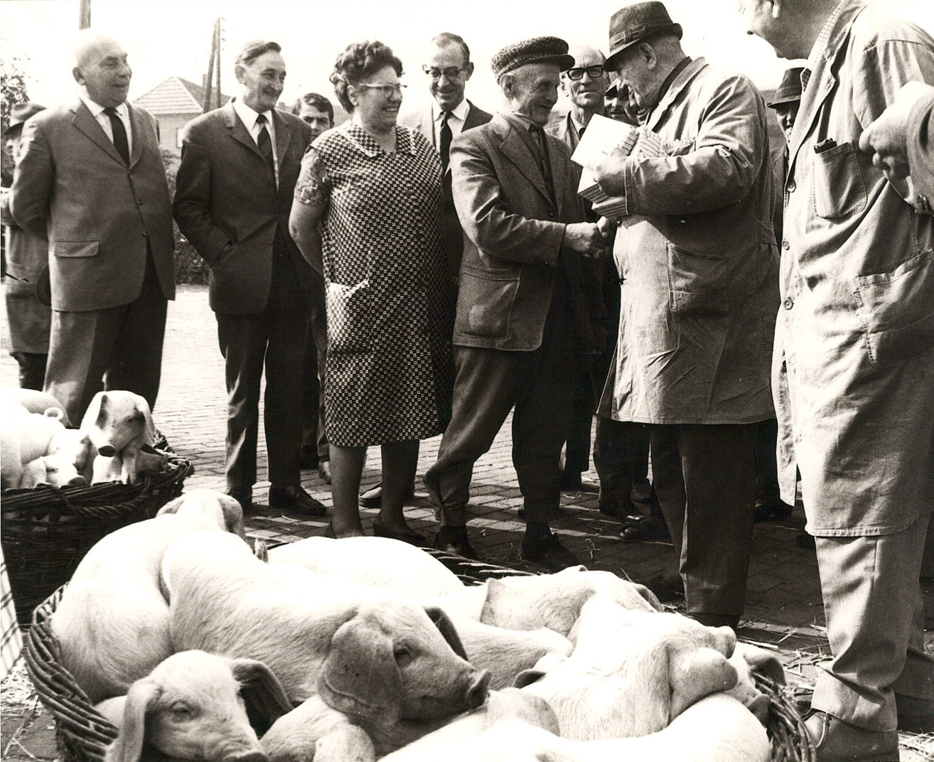 Foto mit Händlern auf dem Schweinemarkt