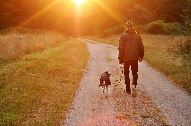 Halter geht mit seinem Hund spazieren