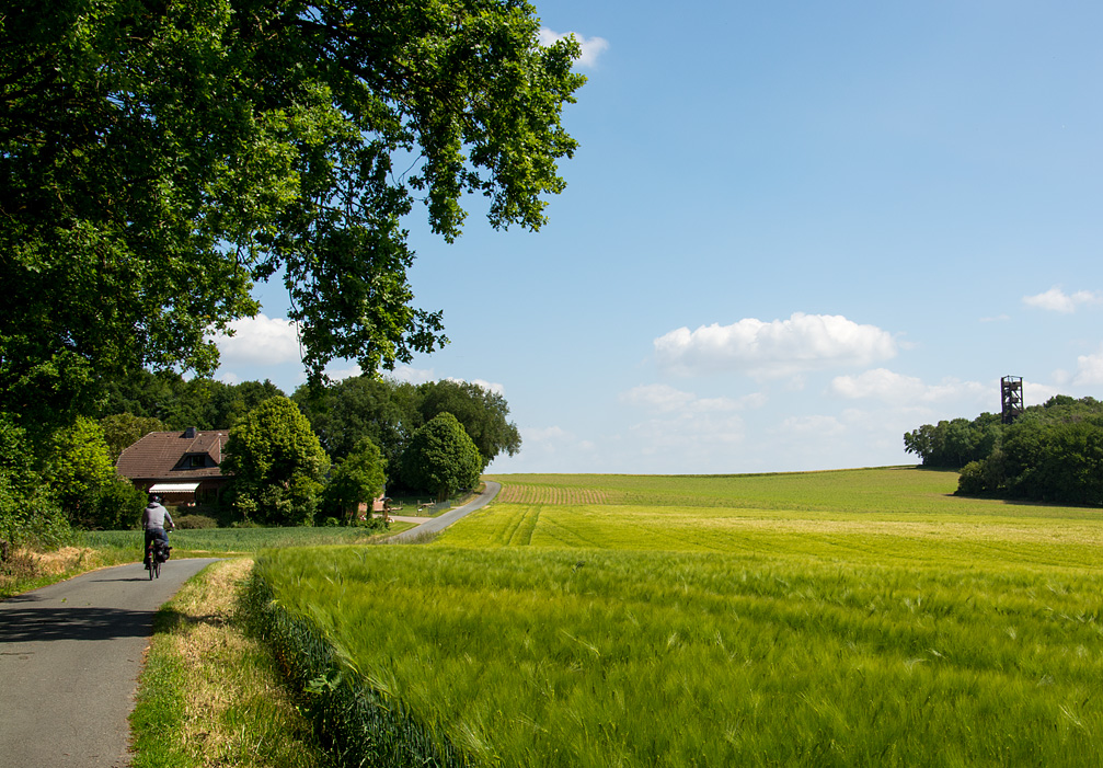 Foto: Dürsberg mit Aussichtsturm